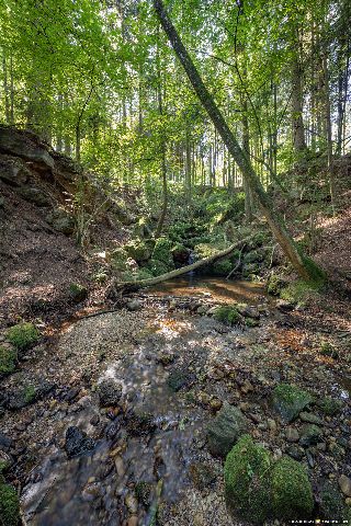 Gemeinde Stubenberg Landkreis Rottal-Inn Amering Ameringer Graben (Dirschl Johann) Deutschland PAN